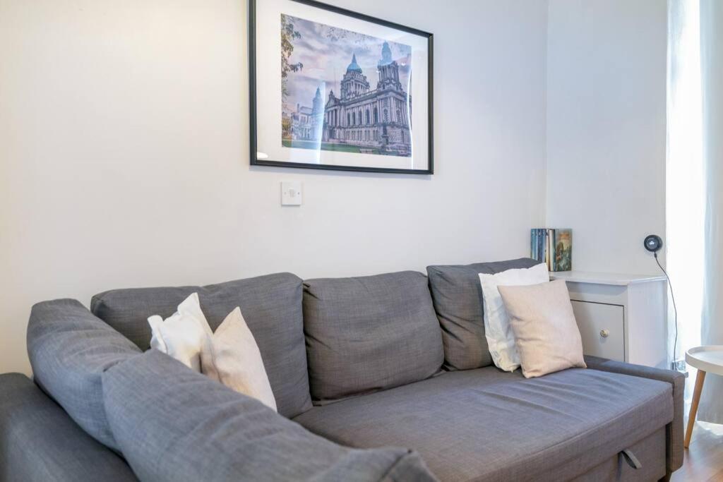 Cosy 2 Bedroom Town House Close To City Centre Belfast Exterior foto